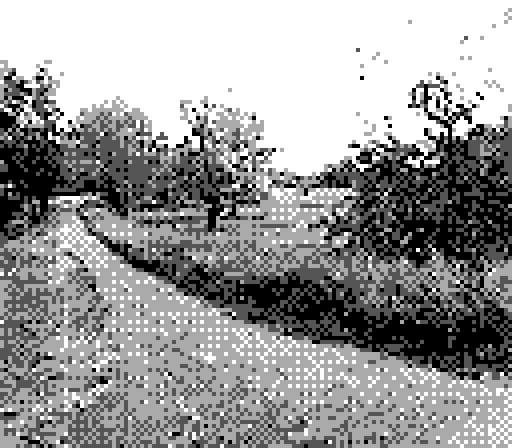 GUF 25 — photo 1
