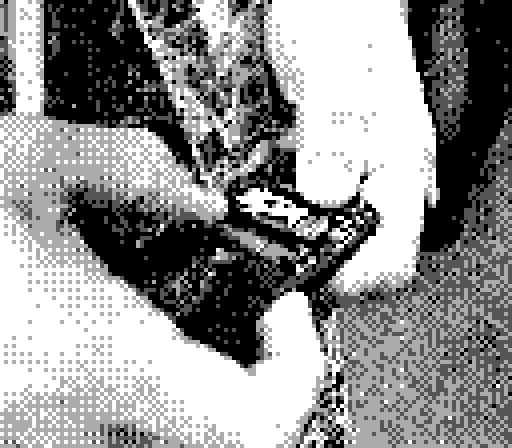 GUF 25 — photo 17