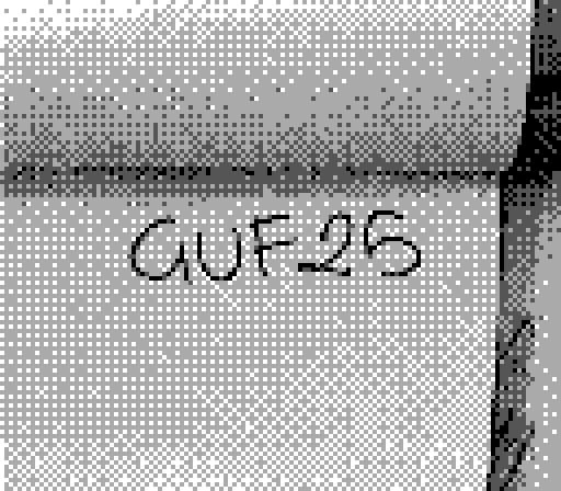 GUF 25 — photo 106