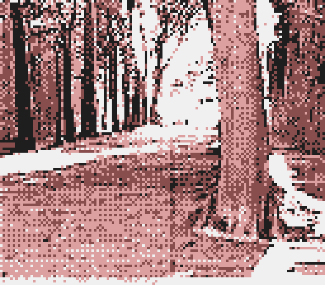 Session #1 — photo 12